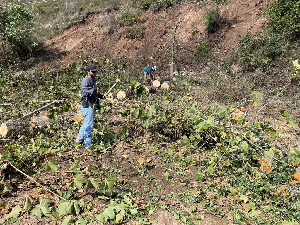 Images from volunteer Jon - clearing debris with chainsaws.