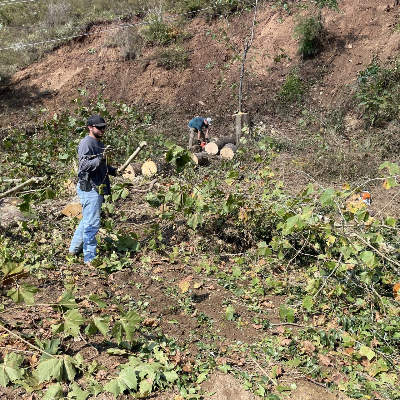 Images from volunteer Jon - clearing debris with chainsaws.
