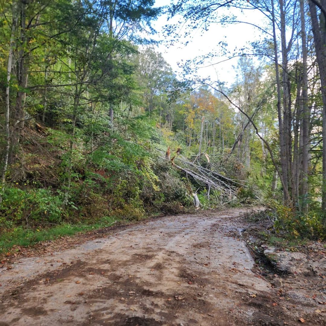 Damage from Hurricane Helene