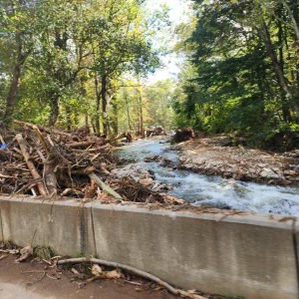 Damage from Hurricane Helene