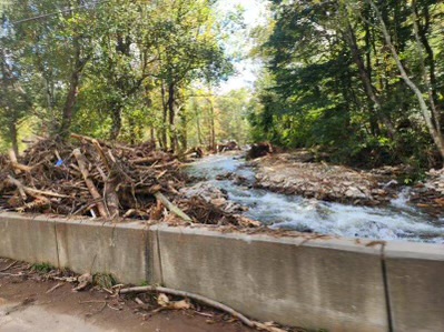 Damage from Hurricane Helene